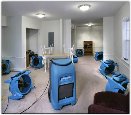 Water Damage Restoration services in Lovington, NM
