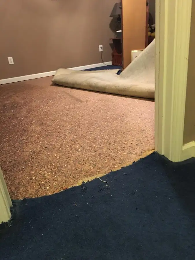 Carpet pad removal revealing water damage during Drying & Dehumidification in Lovington
