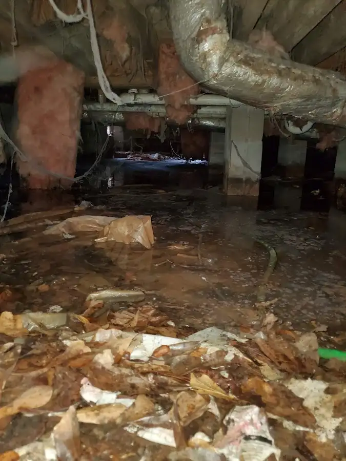 Crawl space flood assessment for Commercial Water Damage Restoration in Lovington
